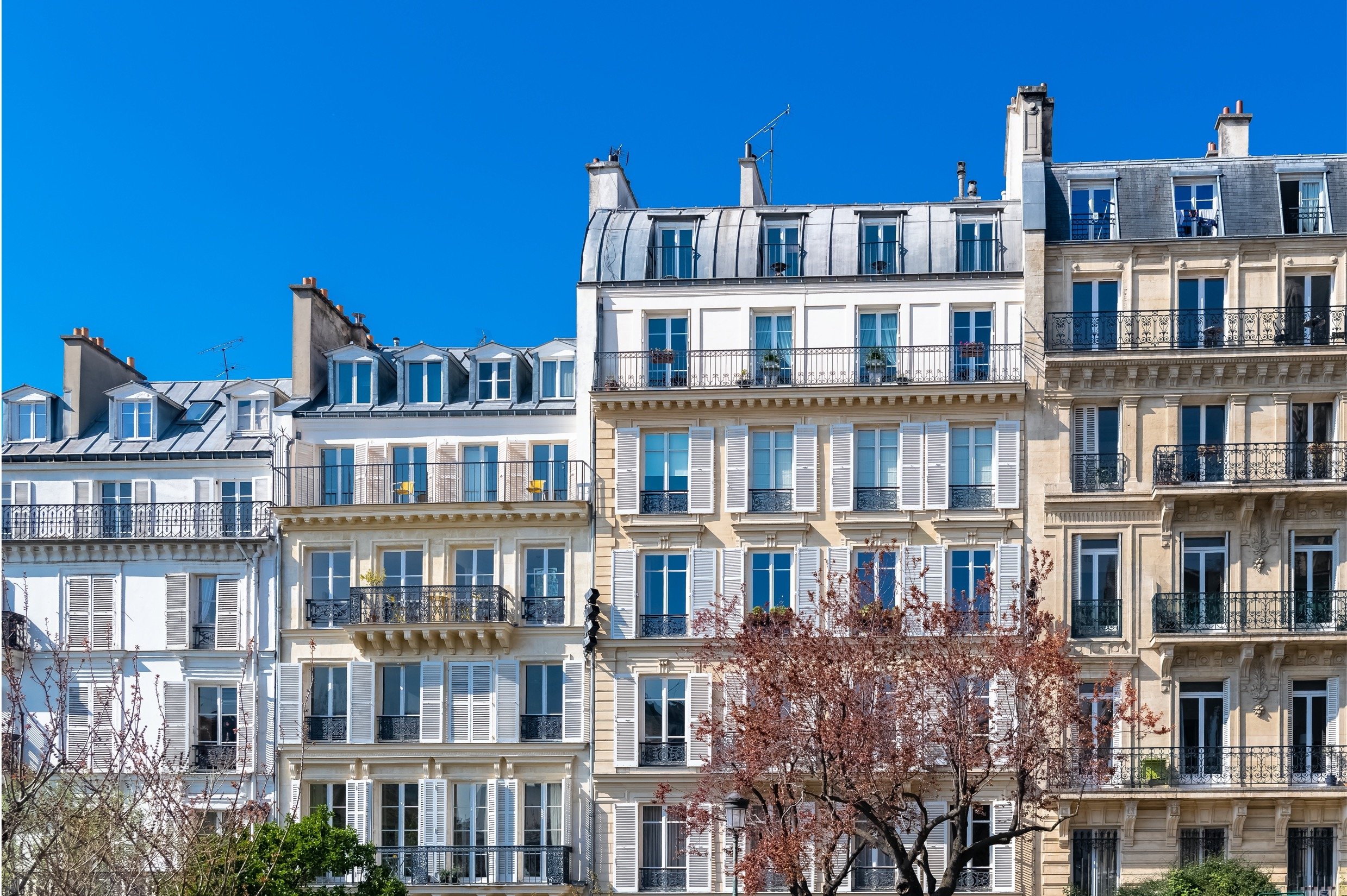 Appartement à vendre en viager libre Paris investissement locatif